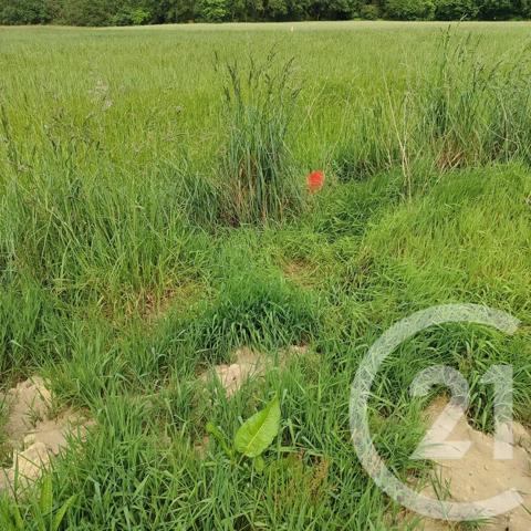 Terrain à vendre  249 m 2   SURZUR  - 56
