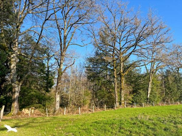 Terrain 10 000 € Cognac-la-Forêt 9300 m² DPE