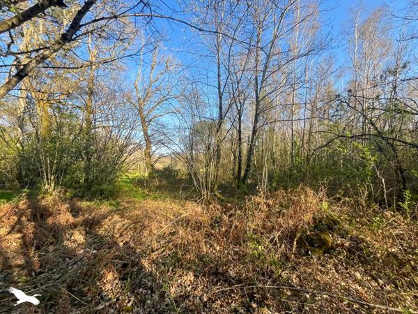 Terrain 10 000 € Cognac-la-Forêt 9300 m² DPE
