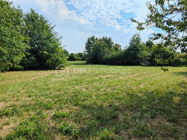 Terrain de 2 105 m²