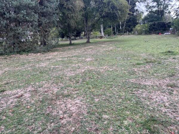 Terrain à vendre 66 780 € Ussel 2059 m² DPE