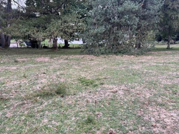 Terrain à vendre 66 780 € Ussel 2059 m² DPE