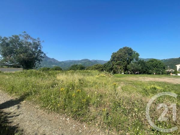 Terrain à vendre  4132 m2 SANTA LUCIA DI MORIANI - 202