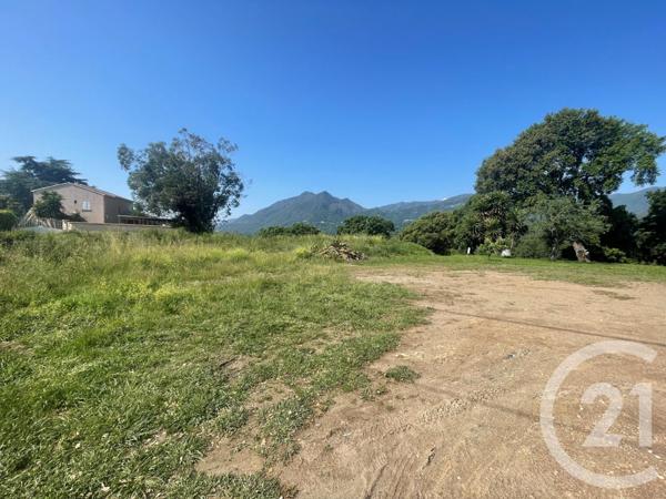 Terrain à vendre  4132 m2 SANTA LUCIA DI MORIANI - 202