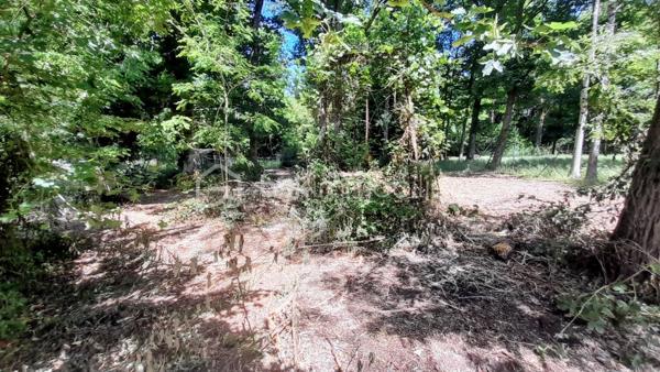 Terrain de 2 022,99 m²