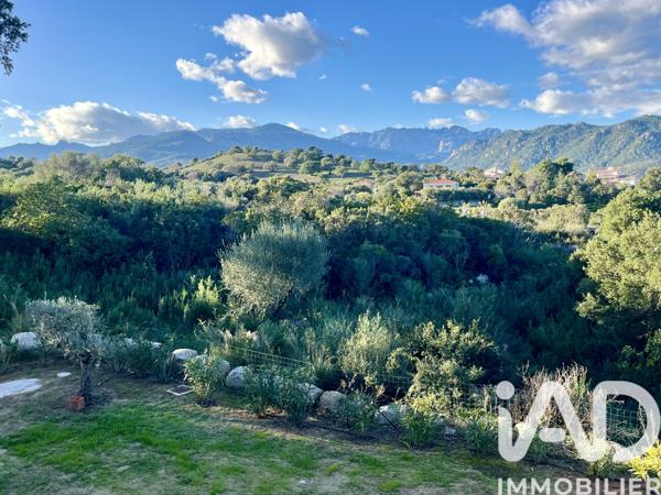 Maison à vendre 8 pièces 220 m² Sainte-Lucie-De-Porto Vecchio