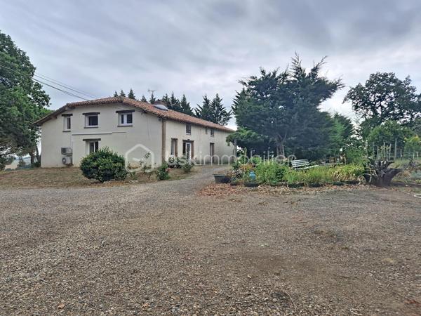 Et si votre prochain projet de vie commençait en Lomagne ?

À Lavit, au cœur de la Lomagne et dans un environnement privilégié avec vue sur la vallée, découvrez cette propriété pleine de caractère réunissant habitation, ancienne auberge et plusieurs hectares de terrain.

Un ensemble rare, idéal pour une grande famille mais surtout pour celles et ceux qui souhaitent concrétiser un projet de gîtes, chambres d’hôtes, restauration, réceptions, séminaires ou événementiel.

La partie habitation développe environ 273 m². Dès l’entrée, les volumes donnent le ton : une très grande pièce de vie chaleureuse avec cheminée ouverte, une cuisine indépendante également équipée d’une cheminée, deux chambres, une salle d’eau avec WC, un WC indépendant et une buanderie.

À l’étage, 6 chambres disposent chacune de leur propre salle d’eau et WC privatifs, un véritable atout pour une activité d’hébergement touristique. Toutes bénéficient également de la climatisation réversible.

À l’extérieur, une belle pergola invite à profiter du calme et de la vue sur la campagne environnante.

Mais le véritable PLUS de cette propriété, c’est son ancienne auberge d’environ 250 m², offrant une infrastructure déjà particulièrement intéressante pour un projet professionnel. Elle comprend notamment une grande salle de réception d’environ 100 m² avec terrasse, une cuisine de préparation équipée, un espace plonge, une chambre froide, deux réserves et une buanderie.

Le tout s’inscrit dans un superbe environnement de 3,6 hectares, composé d’espaces arborés, d’un jardin et d’un bois. Un grand hangar complète la propriété et offre une importante capacité de stockage.

Côté technique, la propriété bénéficie du double vitrage, de la climatisation réversible, d’un chauffe-eau thermodynamique, d’une toiture remaniée et deux compteurs triphasés. 

📍 Toulouse à environ 1h
📍 Agen à 45 min
📍 Castelsarrasin à 20 min
📍 Moissac à 25 min

Un lieu, plusieurs vies possibles. Maison familiale XXL, hébergement touristique, restauration, événements ou véritable changement de vie à la campagne : cette propriété offre un potentiel difficile à résumer en quelques lignes.
