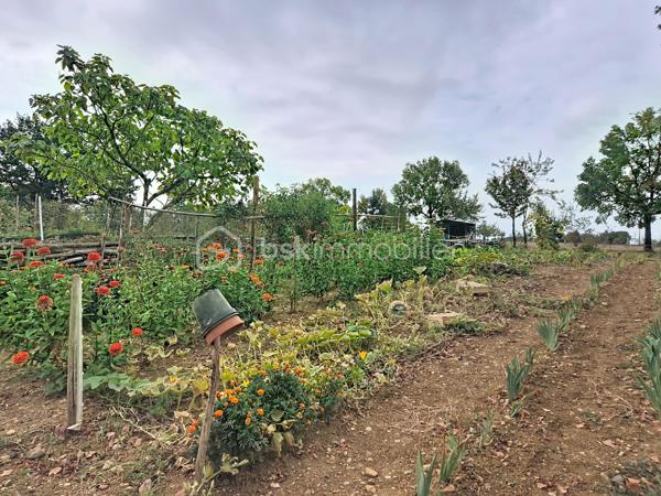 Et si votre prochain projet de vie commençait en Lomagne ?

À Lavit, au cœur de la Lomagne et dans un environnement privilégié avec vue sur la vallée, découvrez cette propriété pleine de caractère réunissant habitation, ancienne auberge et plusieurs hectares de terrain.

Un ensemble rare, idéal pour une grande famille mais surtout pour celles et ceux qui souhaitent concrétiser un projet de gîtes, chambres d’hôtes, restauration, réceptions, séminaires ou événementiel.

La partie habitation développe environ 273 m². Dès l’entrée, les volumes donnent le ton : une très grande pièce de vie chaleureuse avec cheminée ouverte, une cuisine indépendante également équipée d’une cheminée, deux chambres, une salle d’eau avec WC, un WC indépendant et une buanderie.

À l’étage, 6 chambres disposent chacune de leur propre salle d’eau et WC privatifs, un véritable atout pour une activité d’hébergement touristique. Toutes bénéficient également de la climatisation réversible.

À l’extérieur, une belle pergola invite à profiter du calme et de la vue sur la campagne environnante.

Mais le véritable PLUS de cette propriété, c’est son ancienne auberge d’environ 250 m², offrant une infrastructure déjà particulièrement intéressante pour un projet professionnel. Elle comprend notamment une grande salle de réception d’environ 100 m² avec terrasse, une cuisine de préparation équipée, un espace plonge, une chambre froide, deux réserves et une buanderie.

Le tout s’inscrit dans un superbe environnement de 3,6 hectares, composé d’espaces arborés, d’un jardin et d’un bois. Un grand hangar complète la propriété et offre une importante capacité de stockage.

Côté technique, la propriété bénéficie du double vitrage, de la climatisation réversible, d’un chauffe-eau thermodynamique, d’une toiture remaniée et deux compteurs triphasés. 

📍 Toulouse à environ 1h
📍 Agen à 45 min
📍 Castelsarrasin à 20 min
📍 Moissac à 25 min

Un lieu, plusieurs vies possibles. Maison familiale XXL, hébergement touristique, restauration, événements ou véritable changement de vie à la campagne : cette propriété offre un potentiel difficile à résumer en quelques lignes.