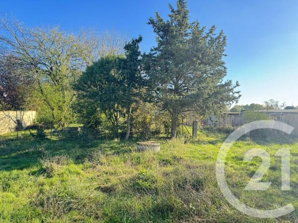 Maison à vendre  4 pièces - 70 m 2   MURET  - 31