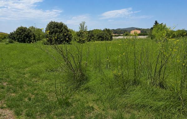 Terrain à Batir de 318 m²