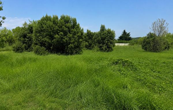 Terrain à Batir de 318 m²