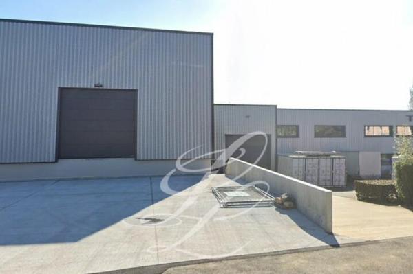 Vente - LOCAL D'ACTIVITE 1750 m 2