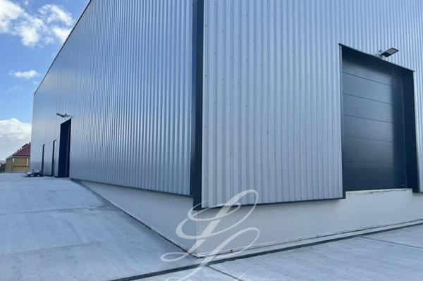 Vente - LOCAL D'ACTIVITE 1750 m 2