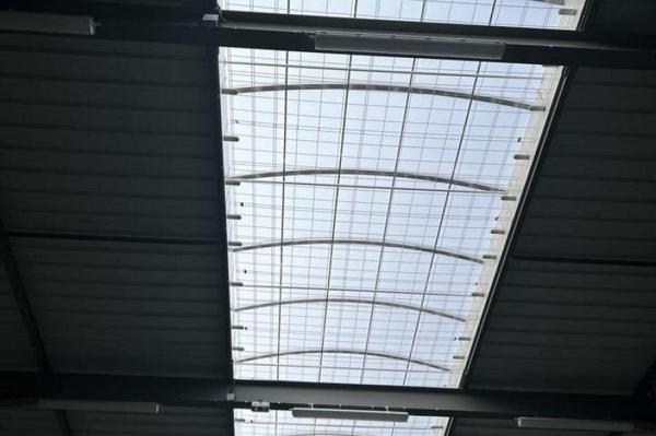 Vente - LOCAL D'ACTIVITE 1750 m 2