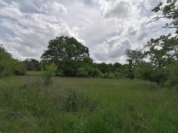 Maison de village St Sulpice les Feuilles