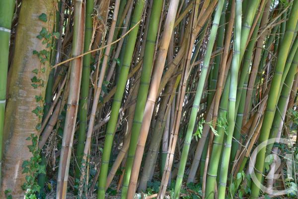 Maison à vendre  13 pièces - 320 m2 MOURS ST EUSEBE - 26