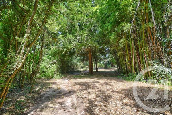 Maison à vendre  13 pièces - 320 m2 MOURS ST EUSEBE - 26