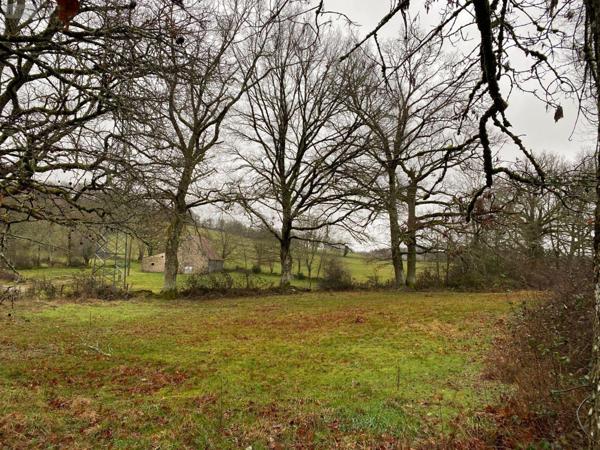 Terrain à Batir à vendre à Mauriac dans le Cantal (15200), ref : 15060/907