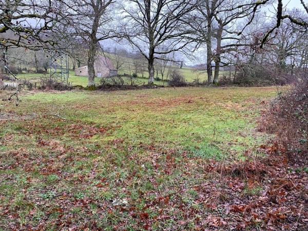 Terrain à Batir à vendre à Mauriac dans le Cantal (15200), ref : 15060/907