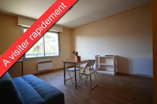 Appartement à louer 1 pièce 23.5m² Cholet (49300)