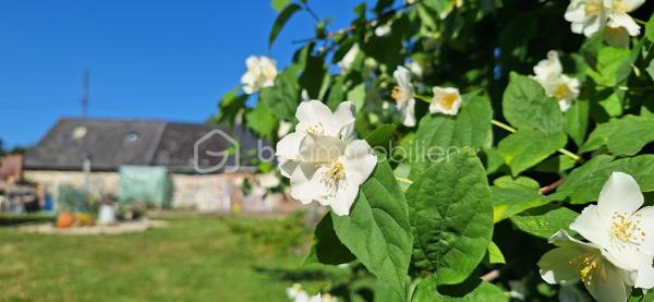 Maison en pierre de 126,50 m²
