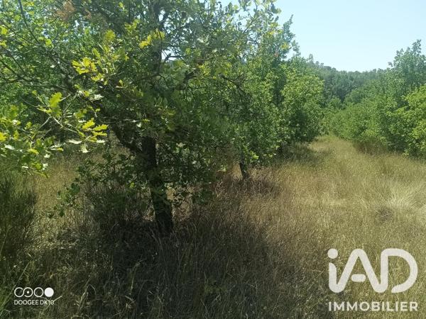 Terrain à vendre 49 000 m² Esparron-de-Verdon