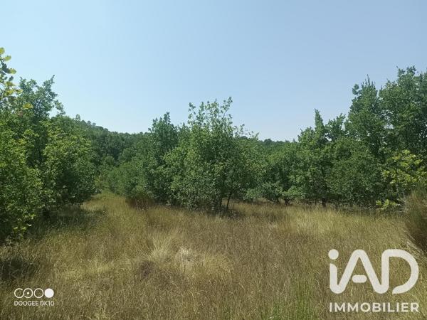 Terrain à vendre 49 000 m² Esparron-de-Verdon