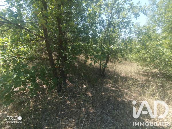 Terrain à vendre 49 000 m² Esparron-de-Verdon