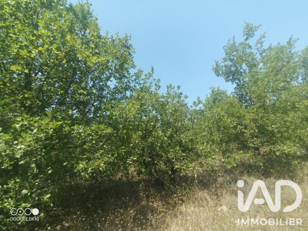 Terrain à vendre 49 000 m² Esparron-de-Verdon