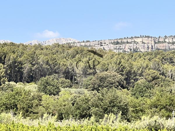 Châteauneuf-le-Rouge (13790) Mas provençal T6 au cœur des vignes, au pied de la Sainte-Victoire
