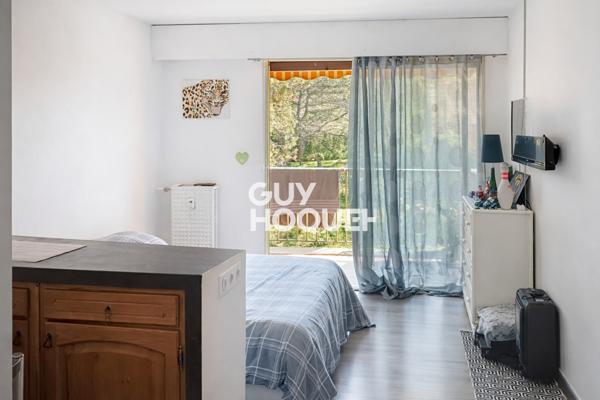 Charmant studio à vendre à Peymeinade, vue pinède