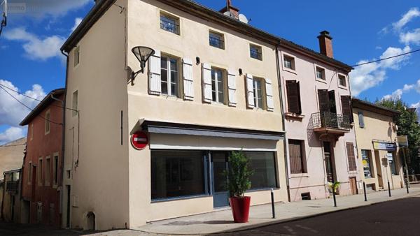 Immeuble à vendre à Tournus en Saône-et-Loire (71700), ref : 71022/175