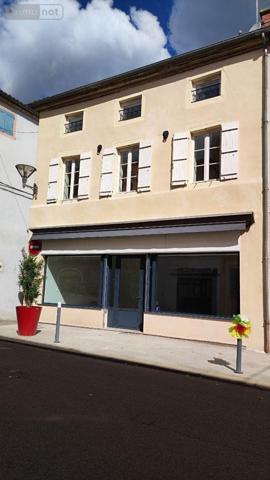 Immeuble à vendre à Tournus en Saône-et-Loire (71700), ref : 71022/175