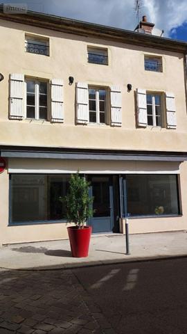 Immeuble à vendre à Tournus en Saône-et-Loire (71700), ref : 71022/175