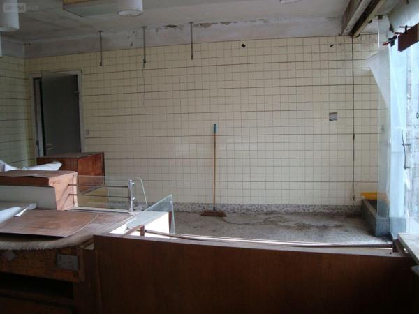 Local mixte (Pro/Hab) à vendre à Cléguérec dans le Morbihan (56480), ref : 063-192