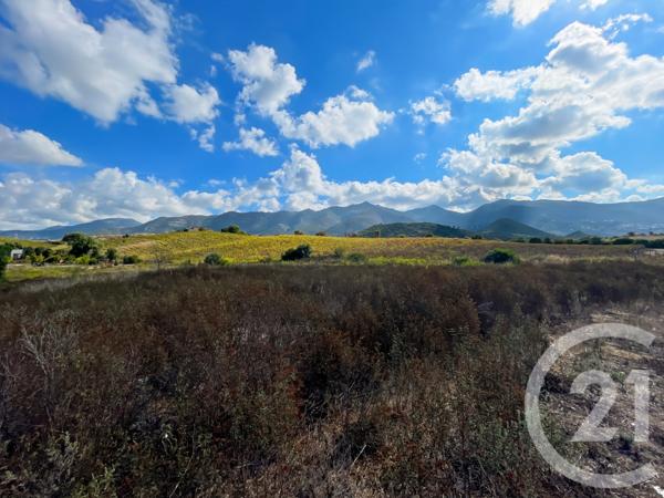 Maison à vendre  3 pièces - 77,83 m2 OLETTA - 202