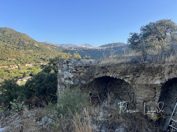 Maison 1 pièce - 50 m² Exclusivité efficity