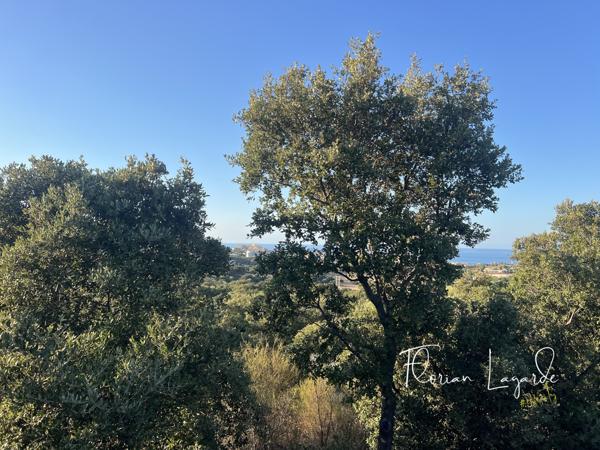 Maison 1 pièce - 50 m² Exclusivité efficity