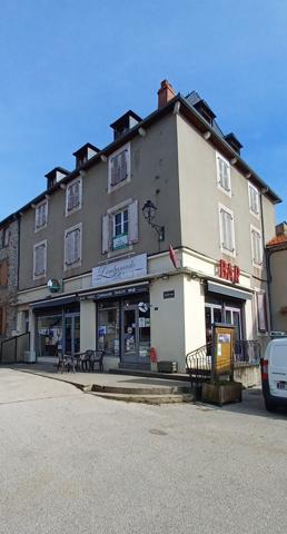 Immeuble 13 pièces - 316 m²