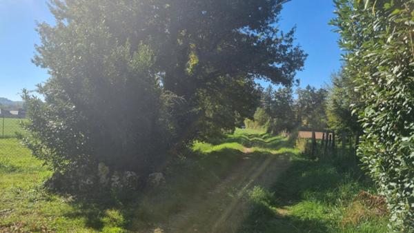 Maison pierres de 7 pièces SAINT PANTALEON DE LARCHE