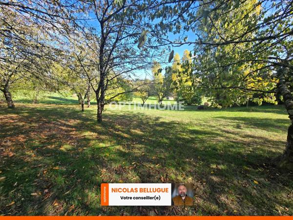 Charme, espace et nature : belle maison périgourdine à Sigoulès