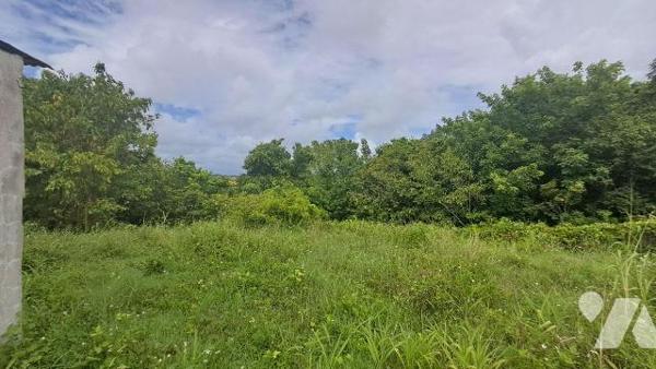 Terrain à Vendre à Sainte-Anne (97180) en Guadeloupe.
Ce terrain présente une belle superficie...