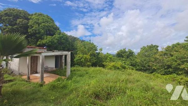 Terrain à Vendre à Sainte-Anne (97180) en Guadeloupe.
Ce terrain présente une belle superficie...