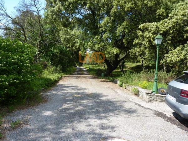 Grande Propriété Coeur Campagne Mazan 5mn Commodités