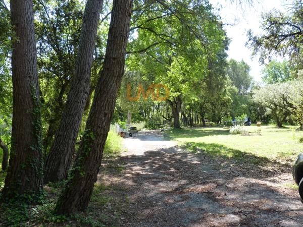 Grande Propriété Coeur Campagne Mazan 5mn Commodités