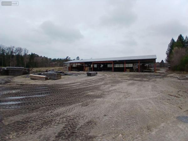 Local d'activité à vendre à Eyrein en Corrèze (19800), ref : 10803/107