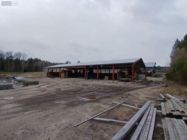 Local d'activité à vendre à Eyrein en Corrèze (19800), ref : 10803/107