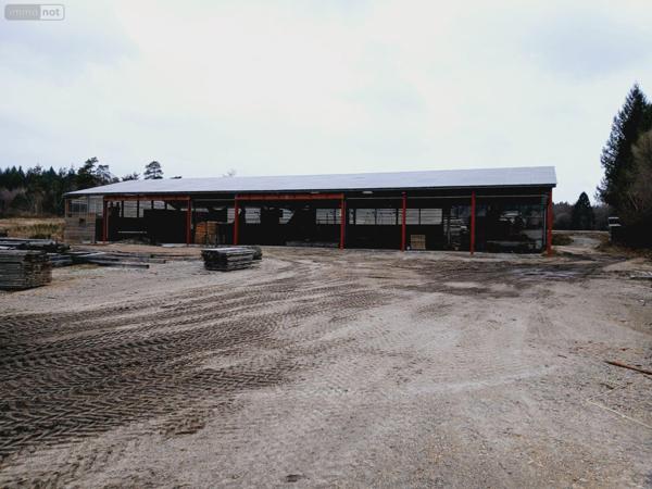 Local d'activité à vendre à Eyrein en Corrèze (19800), ref : 10803/107