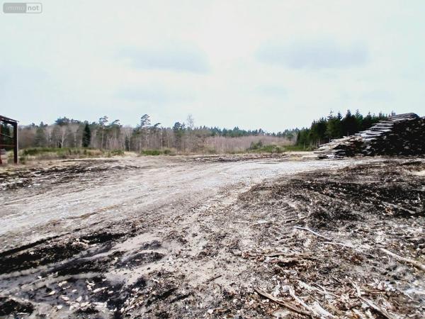 Local d'activité à vendre à Eyrein en Corrèze (19800), ref : 10803/107