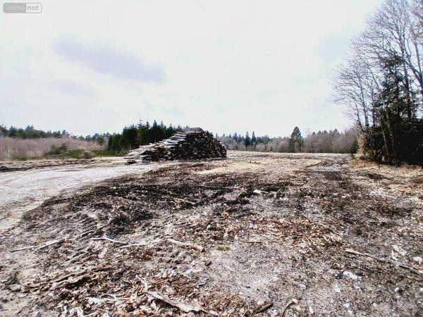Local d'activité à vendre à Eyrein en Corrèze (19800), ref : 10803/107